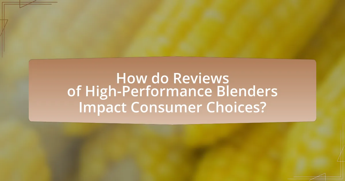 How do Reviews of High-Performance Blenders Impact Consumer Choices?
