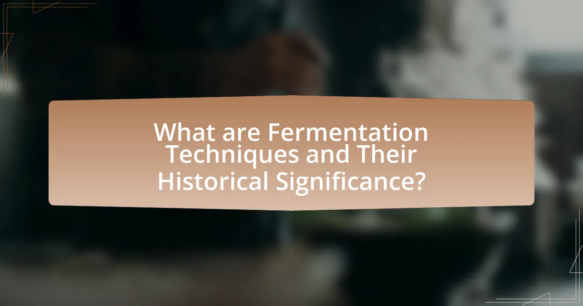 What are Fermentation Techniques and Their Historical Significance?