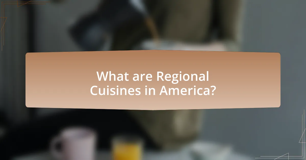 What are Regional Cuisines in America?
