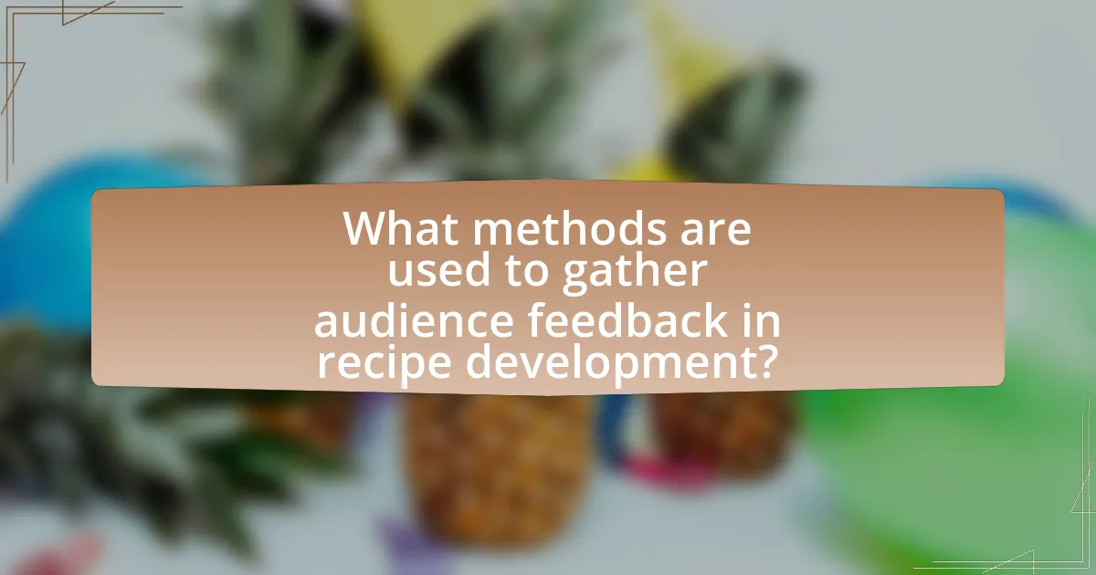 What methods are used to gather audience feedback in recipe development?